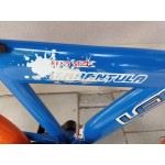 детски велосипед TARANTULA KIDS SPORT 20 цола SHIMANO NEXUS детски велосипед TARANTULA KIDS SPORT 20 цола SHIMANO NEXUS
